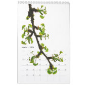 Grand calendrier japonais de jardin de Seattle (Mar 2026)