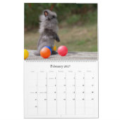 Grand calendrier mural Lapins (Feb 2027)