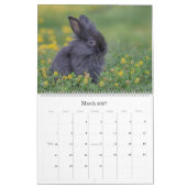 Grand calendrier mural Lapins (Mar 2027)