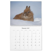 Grand calendrier mural Lapins (Jan 2027)