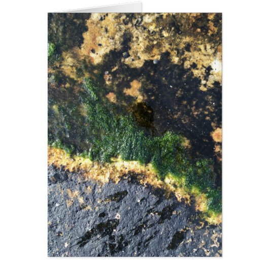 grand canal (Devant)