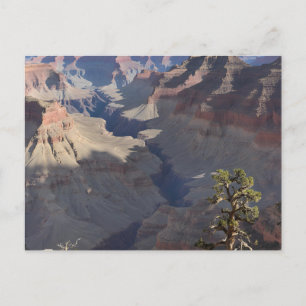 Grand Canyon (5) Briefkaart