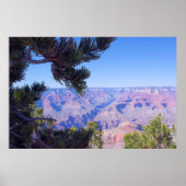 Grand Canyon - Arizona - Verenigde Staten Poster (Voorkant)