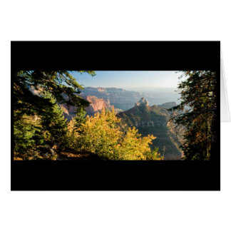 Grand Canyon avec bouleau doré