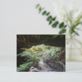 Grand Canyon Briefkaart (Staand voorkant)