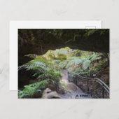 Grand Canyon Briefkaart (Voorkant / Achterkant)