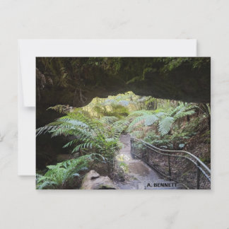 Grand Canyon Briefkaart