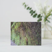 Grand Canyon Briefkaart (Staand voorkant)