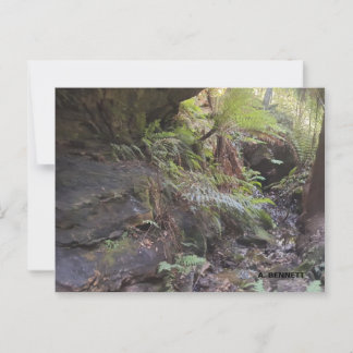 Grand Canyon Briefkaart