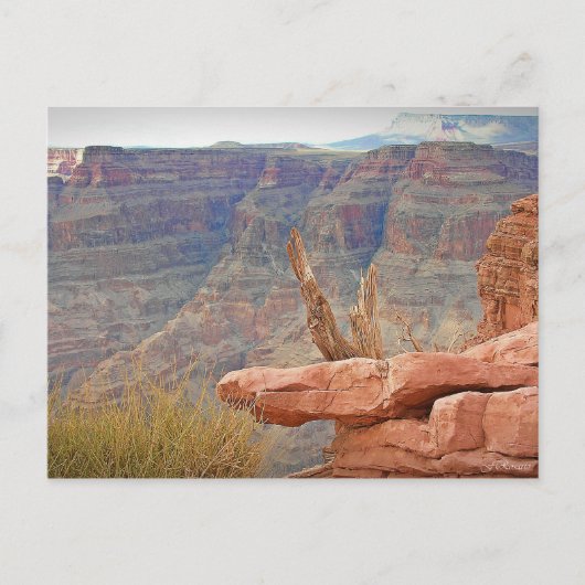 Grand Canyon Briefkaart (Voorkant)
