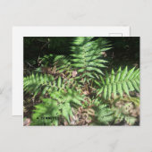 Grand Canyon Briefkaart (Voorkant / Achterkant)