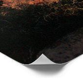 Grand Canyon Flora Poster (Hoek)