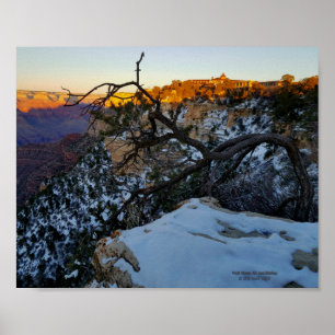Grand Canyon in de winter met uitzicht van El Tova Poster