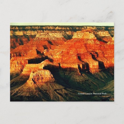 Grand Canyon National Park Briefkaart (Voorkant)