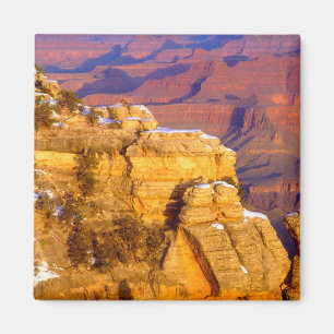 Grand Canyon National Park in de winter Magneet