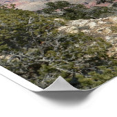 Grand Canyon Panoramisch Poster (Hoek)