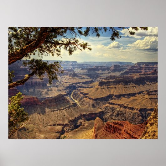 Grand Canyon Print (Voorkant)