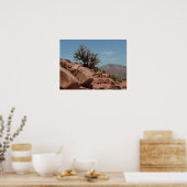 Grand Canyon Shrub Poster (Keuken)