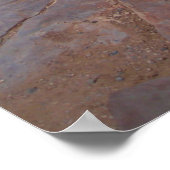 Grand Canyon/Skywalk (Poster) Poster (Hoek)