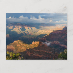 Grand Canyon South Rim van Powell Point Briefkaart