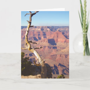 Grand Canyon South Rim Wenskaart Kaart