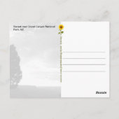 Grand Canyon Sunset, AZ - briefkaart (Achterkant)