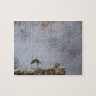 Grand Canyon Tree Puzzel Legpuzzel