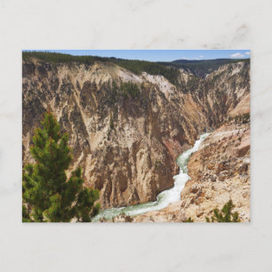 Grand Canyon van de Yellowstone Briefkaart