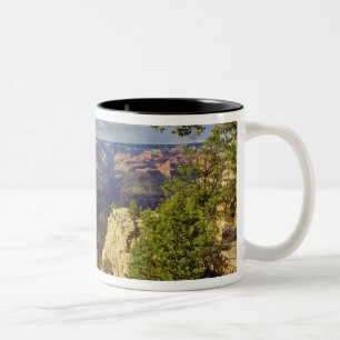Grand Canyon vanaf de zuidelijke rand bij zonsonde Tweekleurige Koffiemok