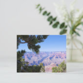 Grand Canyon - Vue à travers les pins - Carte post (Debout devant)