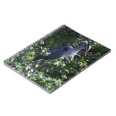 Grand Carnet de Héron Bleu (Côté gauche)