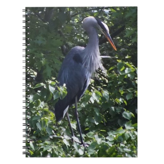 Grand Carnet de Héron Bleu (Devant)
