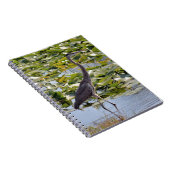 Grand Carnet de Héron Bleu (Côté Droit)