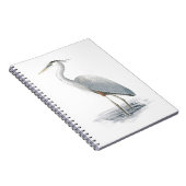 Grand Carnet de Héron Bleu (Côté Droit)