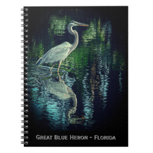 Grand Carnet de Héron Bleu