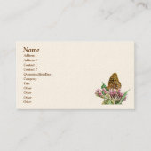 Grand Carte de visite de papillon frangé (Devant)