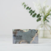 Grand carte de visite de Pyreneees (Debout devant)