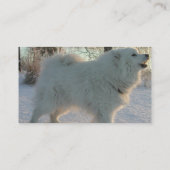 Grand carte de visite de Pyreneees (Dos)