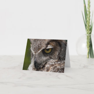 Grand carte pour notes de hibou à cornes