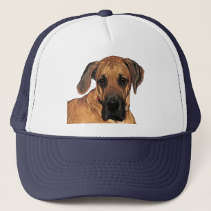 Grand Casquette géant Dane Gentle