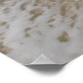 Grand Cayman Beach poster photo (Coin)