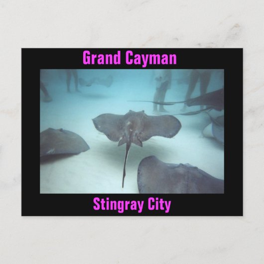 Grand Cayman briefkaart (Voorkant)