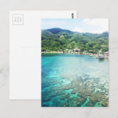 Grand Cayman Coral Reef Briefkaart (Voorkant / Achterkant)