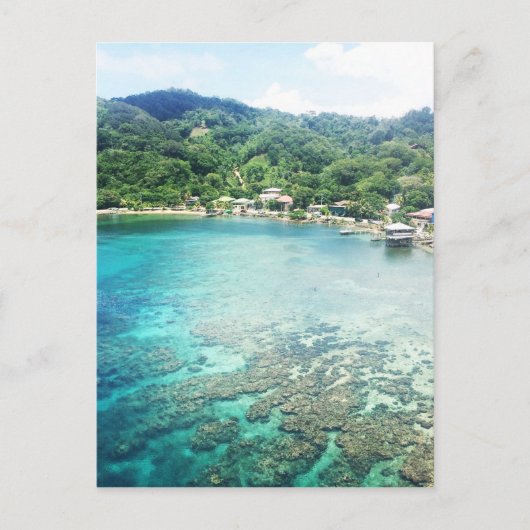 Grand Cayman Coral Reef Briefkaart (Voorkant)