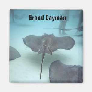 Grand Cayman Island magneet