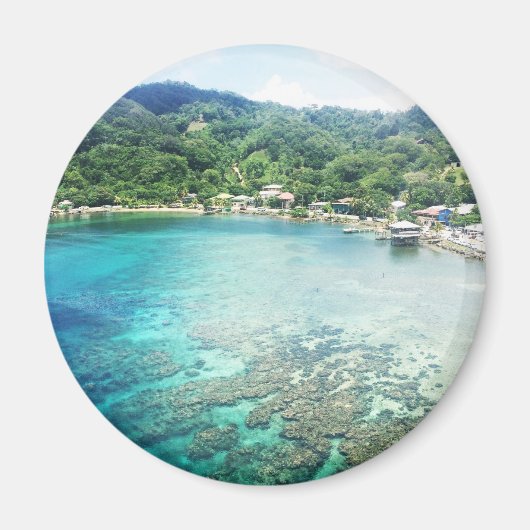 Grand Cayman koraalrif Magneet (Voorkant)