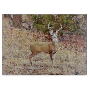 Grand Cerf Sauvage Planche à Découper en Verre Nat