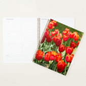 Grand champ de tulipes rouges (Devant avec enveloppe)
