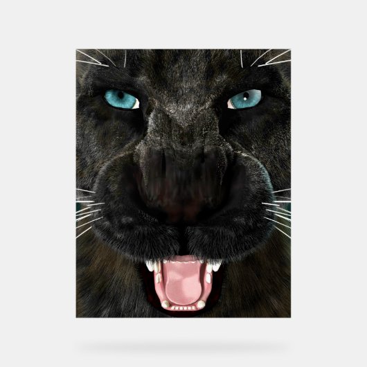 Grand Chat Panther Noir (Recto)