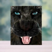 Grand Chat Panther Noir (Neutre)